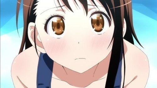 Nisekoi: 1×5