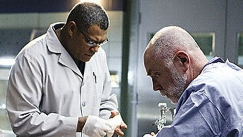 CSI: Investigação Criminal: 9×13