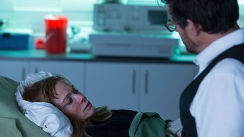 Motive: 4×3