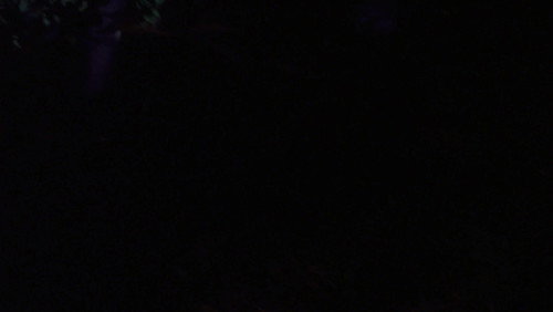 Ghost Whisperer: 2×7