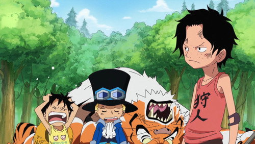 One Piece: 13×499