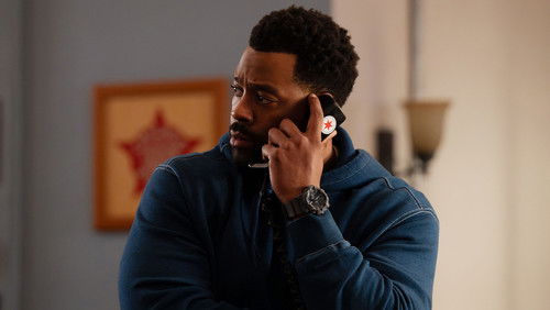 Chicago P.D.: Distrito 21: 13×15