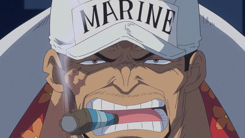 One Piece: 20×881