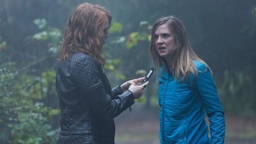 Motive: 4×6