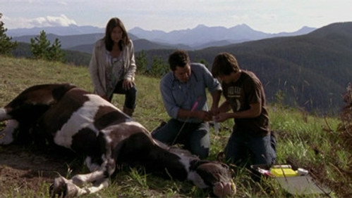 Heartland: 3×9