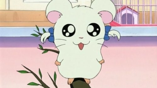 Hamtaro: 1×4