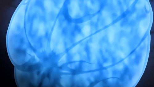 Naruto Shippuden Dublado – Episódio 11