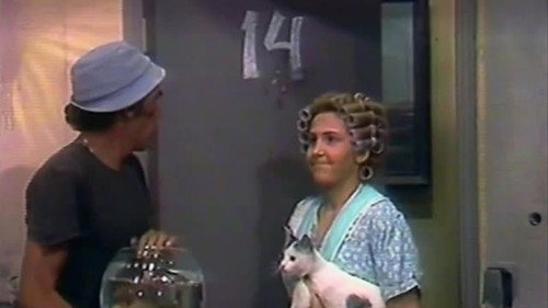 Chaves: 1×14