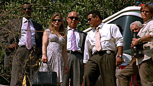 Divisão Criminal: 3×11
