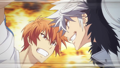 Fruits Basket: 1×9