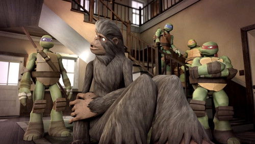 As Tartarugas Ninjas 3 Dublado – Episódio 2