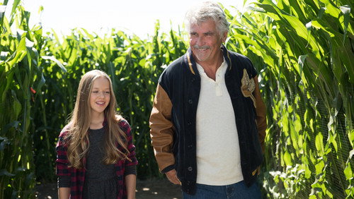 Life in Pieces: Uma Grande Família. Quatro Pequenas Histórias.: 1×8
