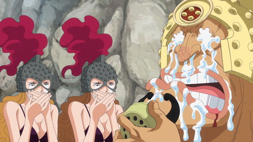 One Piece: 17×734