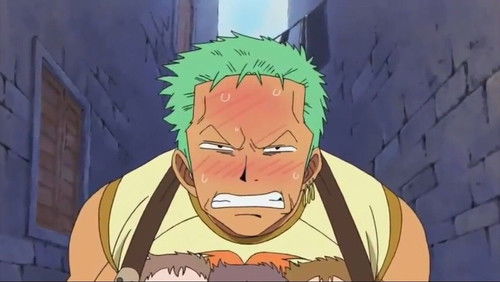 One Piece – Episódio 318