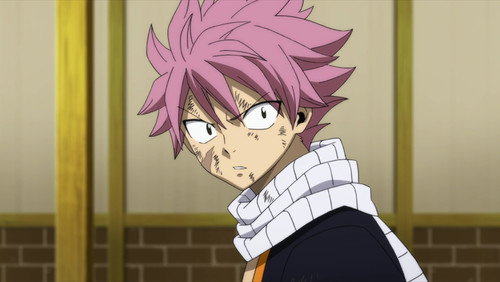 Fairy Tail: 8×40