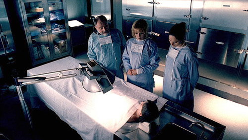 CSI: Investigação Criminal: 1×21