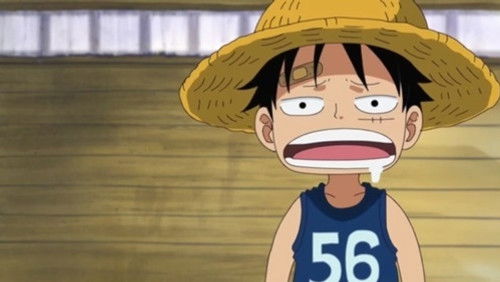 One Piece – Episódio 493