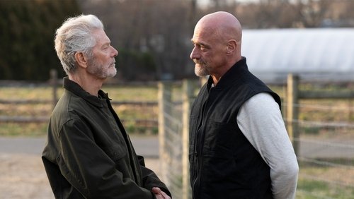 Law & Order: Crime Organizado: 4×9