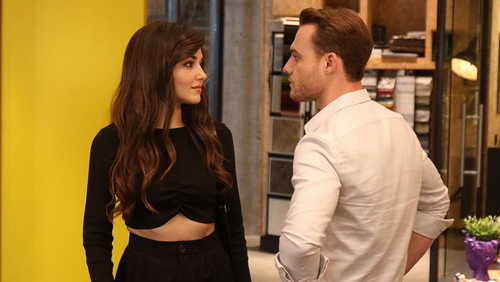 Love Is In The Air: 1×15