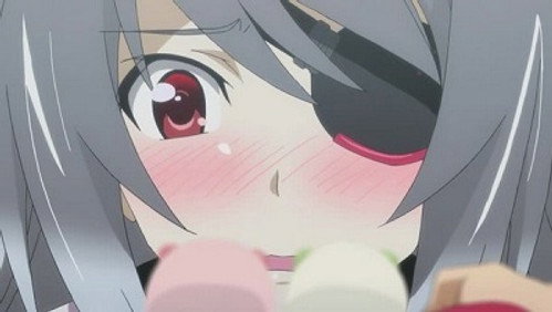 IS: Infinite Stratos: 2×11