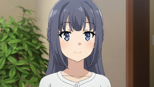 Rascal Does Not Dream of Bunny Girl Senpai(Seishun Buta Yarou wa Bunny Girl): 1×7