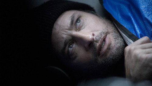 Colony: 1×1