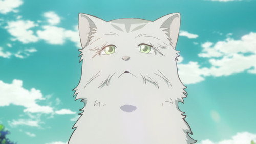 Neko to Ryuu – Episódio 11