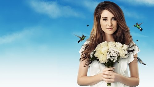 Imagem backdrop