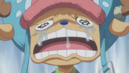 One Piece – Episódio 851