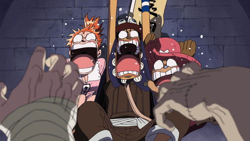 One Piece Dublado – Episódio 342