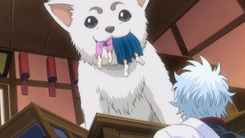 Gintama: 1×45