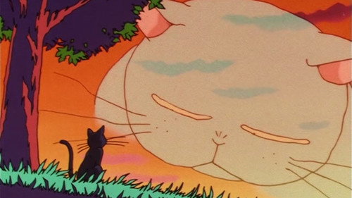 Sailor Moon: 1×31