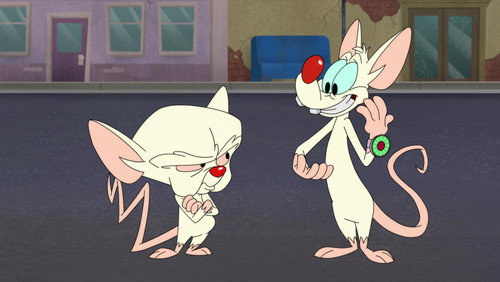 Animaniacs: 2×8
