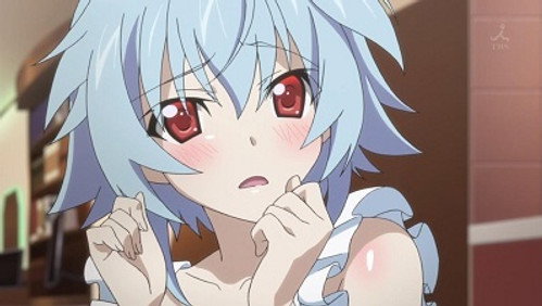 IS: Infinite Stratos: 2×2