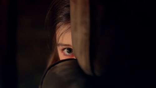 Flashpoint: 3×4