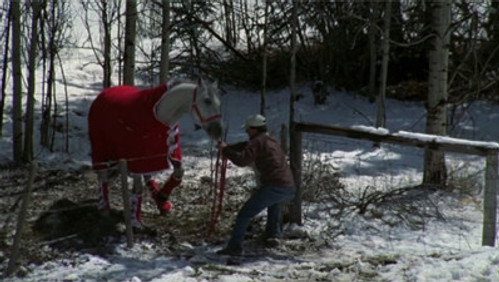 Heartland: 3×1