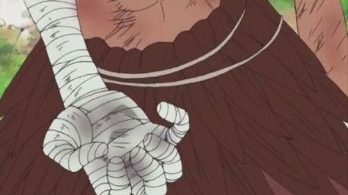 One Piece – Episódio 181