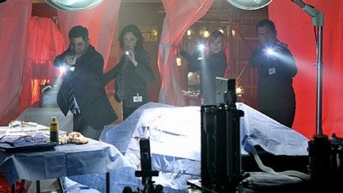CSI: Investigação Criminal: 11×21