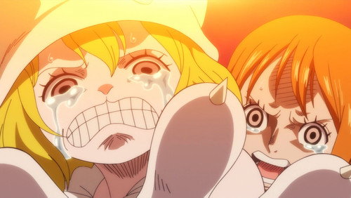 One Piece: 19×850