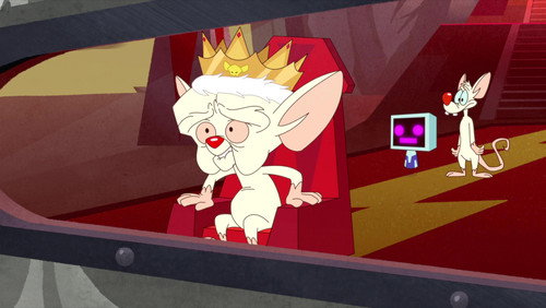 Animaniacs: 2×27