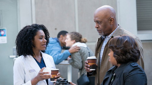 Grey’s Anatomy: 14×15