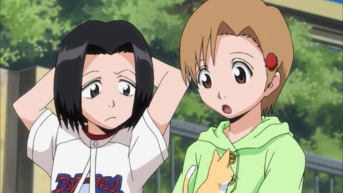 Bleach Dublado – Episódio 33