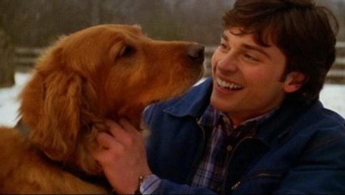 Smallville: As Aventuras do Superboy: 4×14