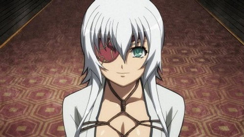 Hyakka Ryouran Samurai Girls: 2×4
