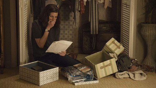 Homecoming: De Volta à Pátria: 1×4