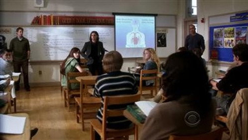 Mentes Criminosas: 5×13