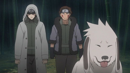 Naruto Shippuden: 20×498