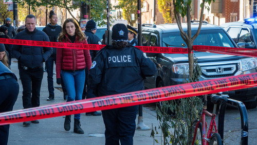 Chicago P.D.: Distrito 21: 7×11