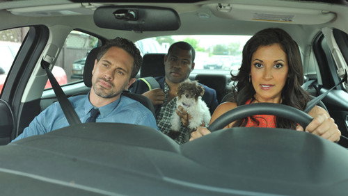Life in Pieces: Uma Grande Família. Quatro Pequenas Histórias.: 1×4
