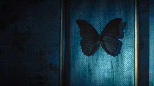 Imagem backdrop